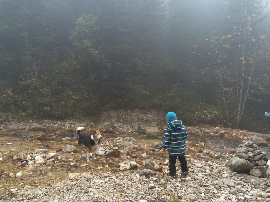 Haus Waldrast Daire Elbigenalp Dış mekan fotoğraf
