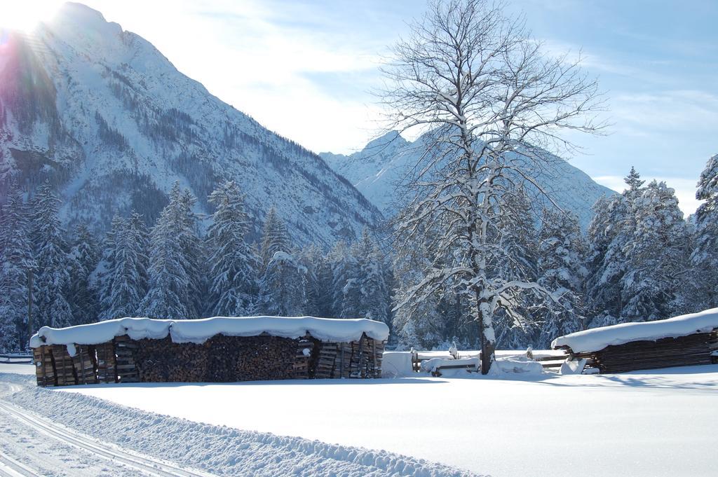 Haus Waldrast Daire Elbigenalp Dış mekan fotoğraf