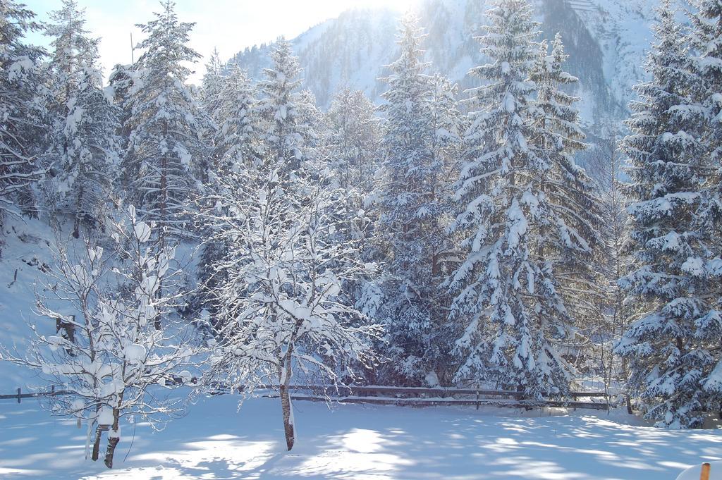 Haus Waldrast Daire Elbigenalp Dış mekan fotoğraf